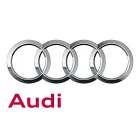 06k-127-028-s Audi Genuine Fuel Pump