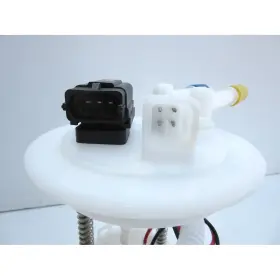 Autobest F2568a Fuel Pump Module Assembly For 01-05 L100 L200 L300 Lw200 Lw300