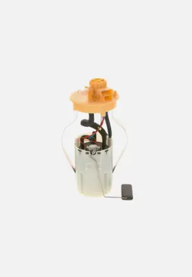 0580313036 Bosch Fuel Pump