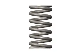 3411340 Cummins Injector Spring