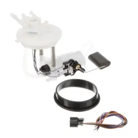 Fg0119 Delphi Genuine Fuel Pump Module Assembly