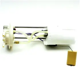 Fg0289 Delphi Fuel Pump Module Assembly For