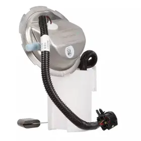 Fg1114 Delphi Genuine Fuel Pump Module Assembly