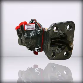 Hfp312 Delphi Fuel - Pump Na