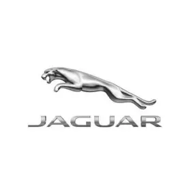 C2z21985 Jaguar Genuine Mechanical Fuel Pump