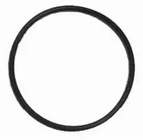 R9243 Racing Power Co-packaged Fits Replacement O-ring For Chevy Water Neck 2
