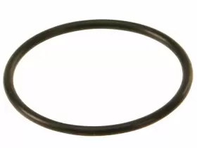 92599zgwg Victor Reinz For 2019-2024 Audi A7 Sportback Fuel Pump O-ring 2020