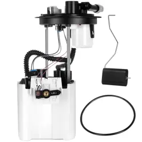 11431762 Wellstorehere Fuel Pump Module Assembly For 2007-08 Chevrolet Impala Pontiac Grand Prix