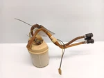 2002-2004 Porsche 911 Boxster Fuel Pump 99662013200 Oem. Fixed Price $37.49.