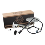 For 2003-2004 Crown Victoria Fuel Pump 3W1Z9H307AB Town Car. Fixed Price $69.60.
