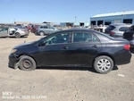 Fuel Pump Oem 09-13 Toyota Corolla 1YR Wrnty. Fixed Price $75.00.