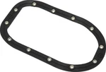 Twin Power 46169 Fits 06-17 Dyna Models Fuel Pump Plate Seal Viton Replaces H-d. Fixed Price $29.99.