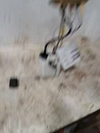 2017 F250SD Fuel Pump SKU#4357706. Fixed Price $81.22.