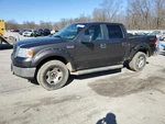 Fuel Pump Assembly Thru 12/02/07 Fits 06-08 Ford F150 Pickup 2335187. Fixed Price $80.00.
