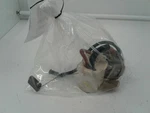 2005-2006-2007 Ford Focus Fuel Pump Assembly 2.0L 05-07. Fixed Price $75.00.