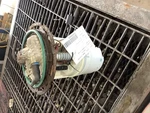 Fuel Pump Assembly Fits 06-10 Pt Cruiser 340564. Fixed Price $85.88.