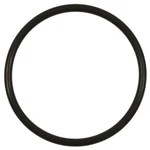 Smp Fuel Pump O-ring For Sportage Sorento Tucson Santa Fe Accent Sonata. Fixed Price $11.99.