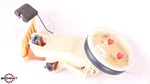 96-02 Bmw Z3 Roadster Fuel Pump Assembly 1183687 Oem. Fixed Price $98.99.