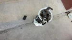 Used Fuel Pump Fits: 2011 Ford Escape Assembly 2.5L Vin 7 8TH Digit Grade. Fixed Price $120.90.