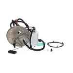 Fuel Pump Module Assembly Carter P76119M. Fixed Price $131.18.
