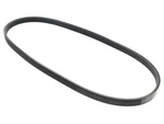 Continental 99919221451 Belt Porsche 928. Fixed Price $19.65.