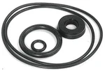 Magnafuel MP-4701-SK Seal Kit For MP-4701/4703 Pumps. Fixed Price $32.99.