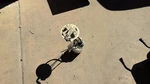 Fuel Pump 2.7L Turbo Tank Mounted 122.0" Wb Fits 15-17 Ford F150 Pickup 750828. Fixed Price $139.90.