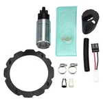 Ford F-150 Heritage 2004 Carter Fuel Pump & Strainer Set. Fixed Price $59.33.