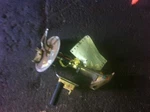 86 87 88 89 90 91 92 93 94 95 Ford Taurus Fuel Pump. Fixed Price $52.35.