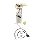 Delphi FG0161 Fuel Pump Module Assembly For Buick Park Avenue/pontiac Bonneville. Fixed Price $169.67.