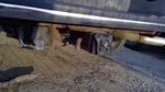 Fuel Pump Thru 12/02/07 Regular Cab Ffv Fits 06-08 Ford F150 Pickup 5252977. Fixed Price $105.00.