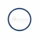 Intermotor Fuel Pump O-ring GDR601. Fixed Price $20.28.