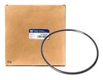 Carquest Fuel Pump Tank Seal Fits 1990-2004 Nissan Sentra Altima Maxima LO19CQ. Fixed Price $5.00.