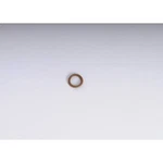 19258137 Ac Delco Fuel Tank Lock Ring Gas Front Rear For Chevy Olds Savana. Fixed Price $19.45.