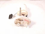 2018-2020 Honda Accord Gas Fuel Tank Pump 17048-TVA-A02. Fixed Price $152.62.