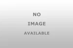 Deatschwerks 415PH In-tank Fuel Pump With 9-1001. Fixed Price $239.00.