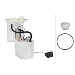 Hella 358146601 Fuel Pumps. Fixed Price $555.06.