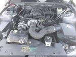 Used Right Fuel Pump Fits: 2006 Ford Mustang Assembly R. Jet Transfer. Fixed Price $85.00.