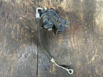 96-00 Honda Civic Ex Model Only Fuel Filter W/ Bracket & Line Oem. Fixed Price $35.00.